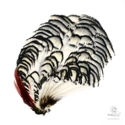 Скальп Алмазного Фазана Wapsi Lady Amherst Pheasant Neck