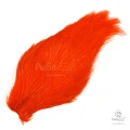 Скальп Петуха Wapsi Streamer Rooster Neck Dyed (Grade 1)