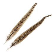 Перья Самки Фазана Veniard Pheasant Centre Tail Pair