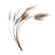 Очищенные Ости Перьев Veniard Ready Stripped Hackle Quills
