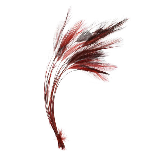 Очищенные Ости Перьев Veniard Ready Stripped Hackle Quills