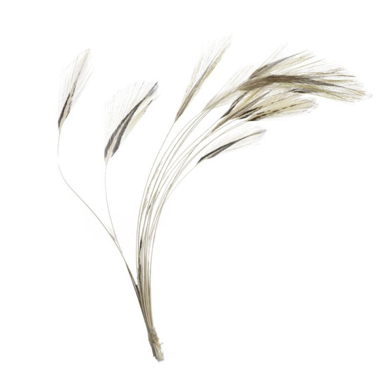 Очищенные Ости Перьев Veniard Ready Stripped Hackle Quills