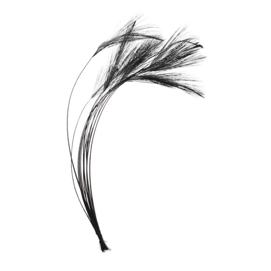 Очищенные Ости Перьев Veniard Ready Stripped Hackle Quills