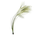 Очищенные Ости Перьев Veniard Ready Stripped Hackle Quills