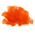 Перья Индюка Veniard Turkey Coquille
