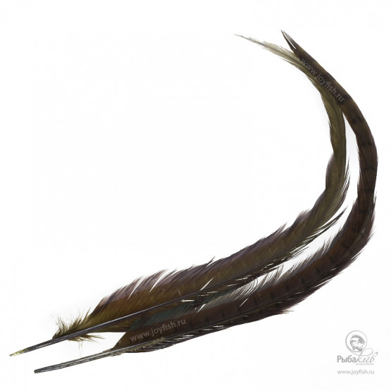 Перья Охотничьего Фазана Veniard Cock Pheasant Centre Tails