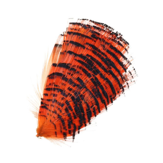 Перья Золотого Фазана Veniard Golden Pheasant Half Collar