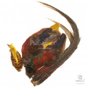 Шкура Золотого Фазана Veniard Golden Pheasant Complete Skin