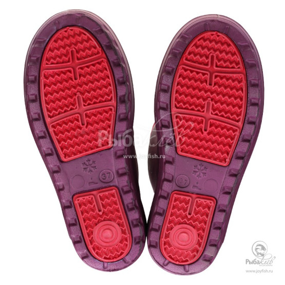 Сапоги Женские Torvi Onega Light