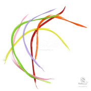 Перья Гуся Goose Biot Combo Pack Bright Color
