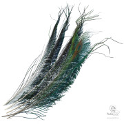 Перья Павлина Joyfish Peacock Sword Natural 2 pairs