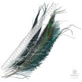 Перья Павлина Joyfish Peacock Sword Natural 2 pairs