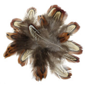 Перья Фазана Veniard Cock Pheasant Shoulder