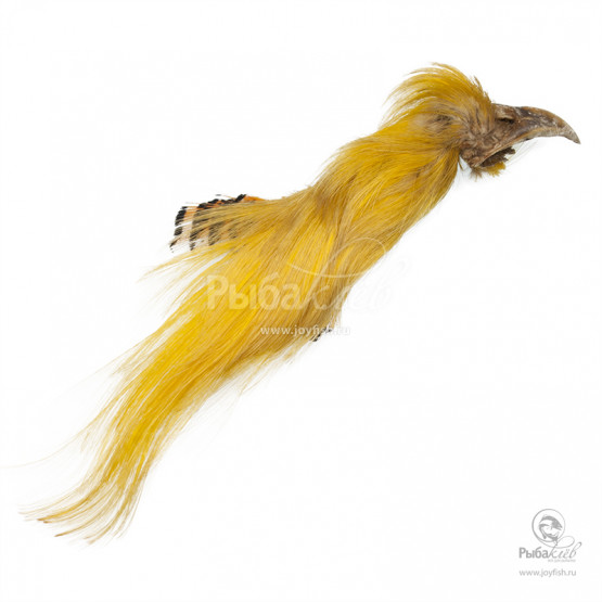 Гребень Золотого Фазана Veniard Golden Pheasant Topping Crest (Grade 1)