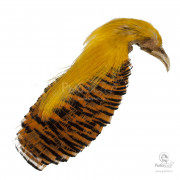 Скальп Золотого Фазана Veniard Golden Pheasant Complete Head (Grade 1)