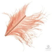 Перья Страуса Veniard Ostrich Herl