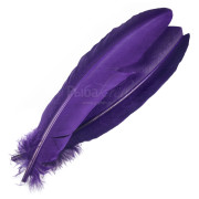 Перья Индюка Veniard Turkey Broad Wing Quills