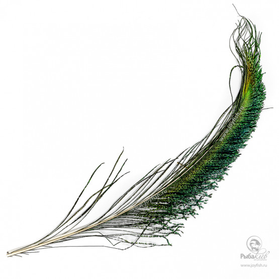 Перья Павлина Veniard Peacock Sword Tails