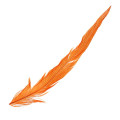 Перо Петуха Veniard Barred Cock Tail