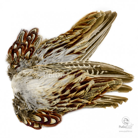 Крылья Охотничьего Фазана Veniard Cock Pheasant Wings