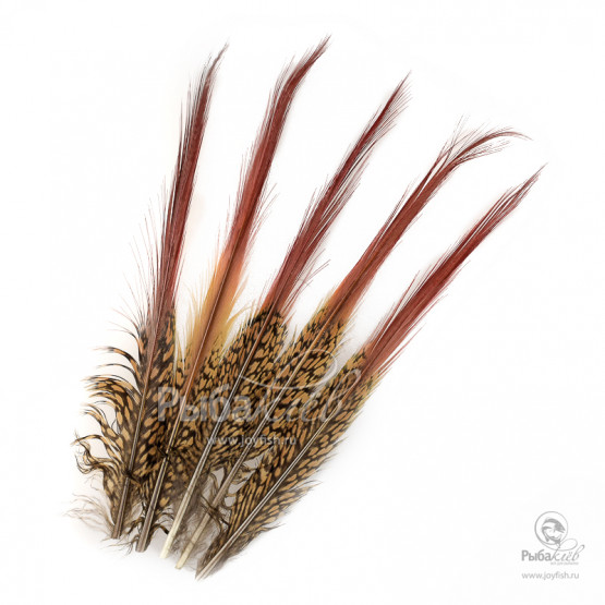 Перья Золотого Фазана Veniard Golden Pheasant Red Spears