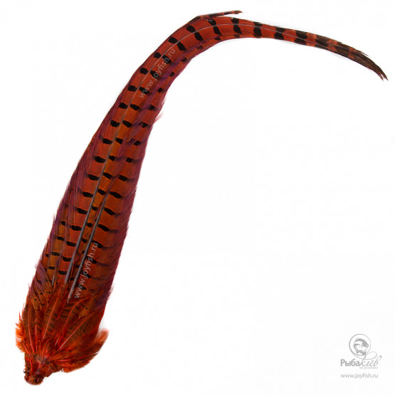 Хвост Охотничьего Фазана Veniard Cock Pheasant Complete Tail