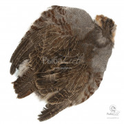 Шкура Куропатки Wapsi Hungarian Partridge Skin (Grade 1)