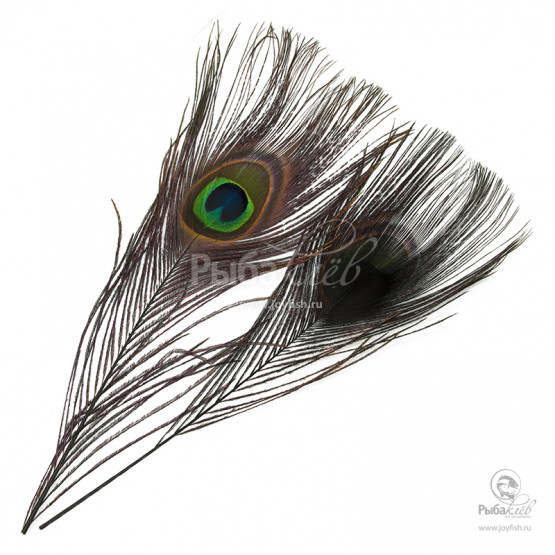 Перья Павлина Veniard Peacock Eye Tops