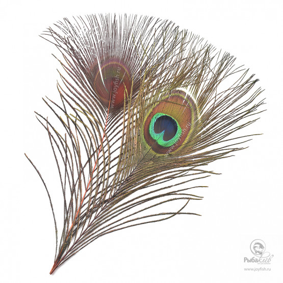 Перья Павлина Veniard Peacock Eye Tops