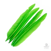 Перья Утки Маховые Wapsi Duck Quill