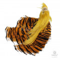 Гребень Золотого Фазана Golden Pheasant Crest