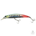 Воблер DUO Spearhead Ryuki 110S SW