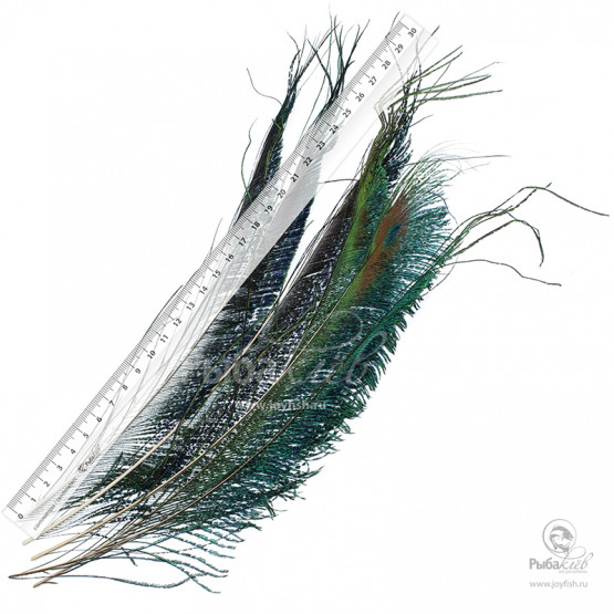 Перья Павлина Joyfish Peacock Sword Natural