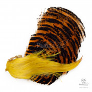 Скальп Золотого Фазана Wapsi Golden Pheasant Complete Head