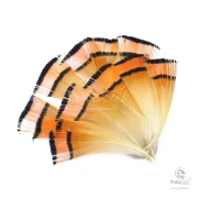 Перья Золотого Фазана Hareline Golden Pheasant Tippets