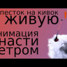 Лепесток на Кивок для Зимней Рыбалки Etovashe - Видео