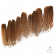 Перья Куропатки Veniard English Partridge Plain Cinnamon Brown Tails