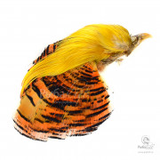 Скальп Золотого Фазана Hareline Golden Pheasant Complete Head