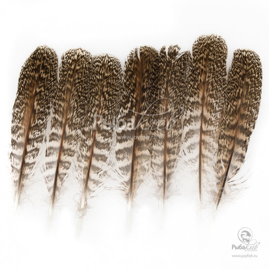 Перья Куропатки Veniard English Partridge Speckled Centre Tails