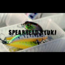 Воблер DUO Spearhead Ryuki 50S - Видео
