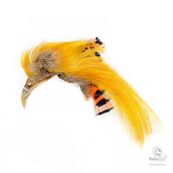 Гребень Золотого Фазана Veniard Golden Pheasant Topping Crest (Grade 2)