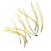 Перья Золотого Фазана Veniard Golden Pheasant Toppings