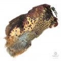 Шкура Золотого Фазана Veniard Golden Pheasant Body Skin