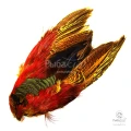 Шкура Золотого Фазана Veniard Golden Pheasant Body Skin