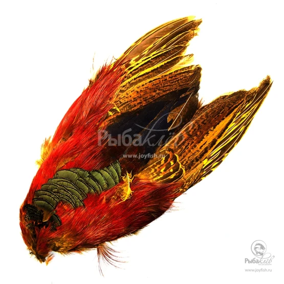 Шкура Золотого Фазана Veniard Golden Pheasant Body Skin