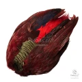 Шкура Золотого Фазана Veniard Golden Pheasant Body Skin