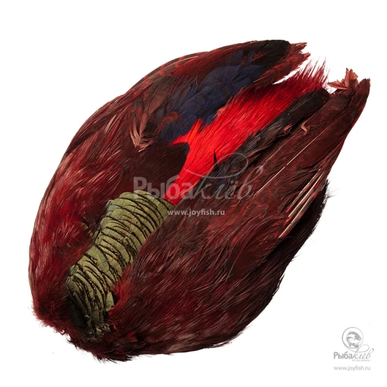 Шкура Золотого Фазана Veniard Golden Pheasant Body Skin