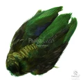 Шкура Золотого Фазана Veniard Golden Pheasant Body Skin