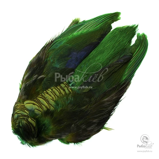 Шкура Золотого Фазана Veniard Golden Pheasant Body Skin