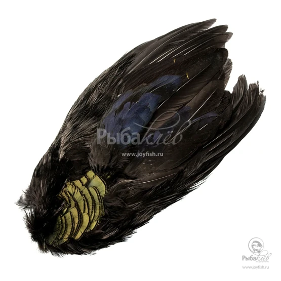 Шкура Золотого Фазана Veniard Golden Pheasant Body Skin